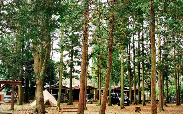 キャンプ場（フォンテーヌの森）