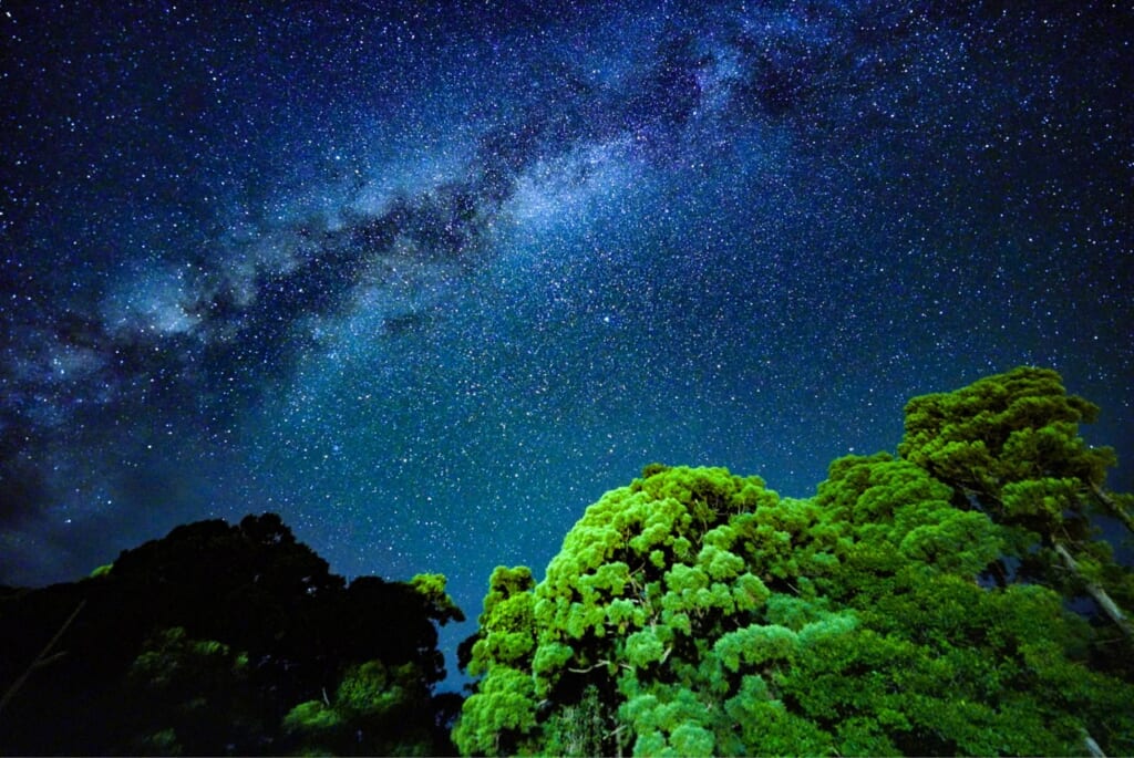 静かな田舎の自然環境