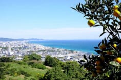 小田原市街（神奈川県）