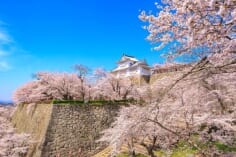 鶴山公園(津山城址)